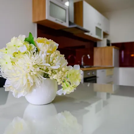 Tina Ploce (Dubrovnik-Neretva)